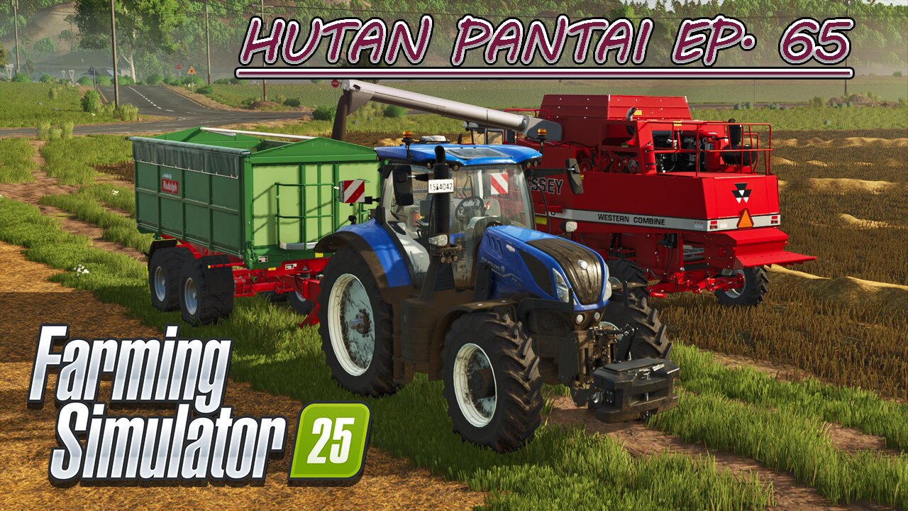 Swathing Canola & Wheat. Collecting & Baling Straw. | HUTAN PANTAI EP. 65 | Farming Simulator 25