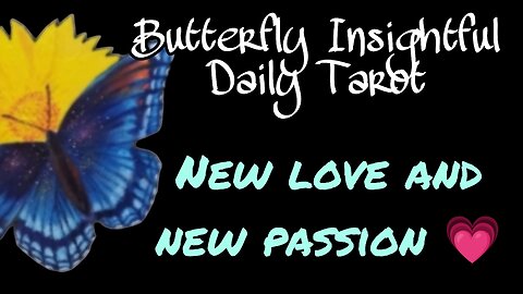 Butterfly Insightful Daily Tarot - Love and passion awaits!