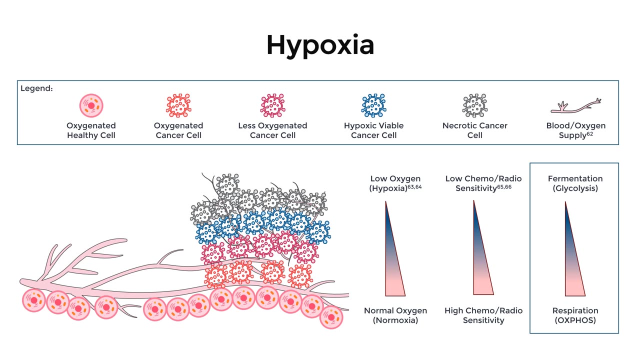 Hypoxia