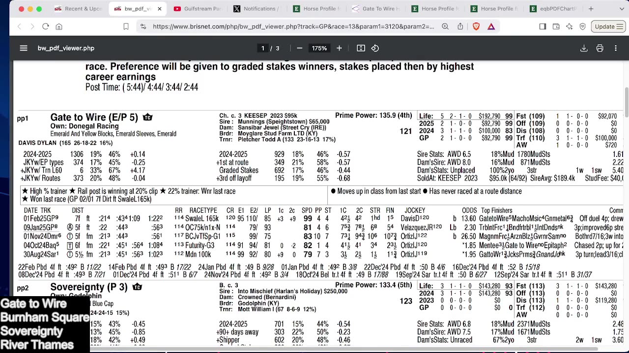 Capping Corner - Gotham and Fountain of Youth Stakes 2025 - Aqueduct, Gulfstream Picks
