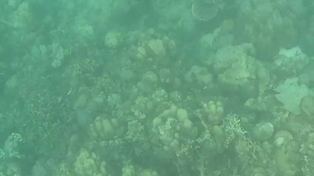 Snorkeling Morning!!