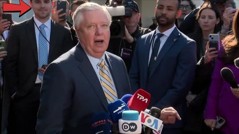 'Complete, utter disaster': Lindsey Graham reacts to Zelensky meeting