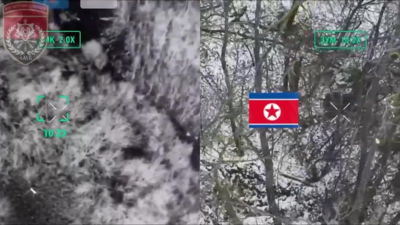 Ukrainian Tanks Firing on Ill-Prepared North Koreans in Kursk as The Front Line Comes to Them