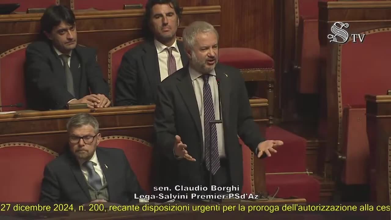 Borghi - Intervento in Senato (21.01.25)