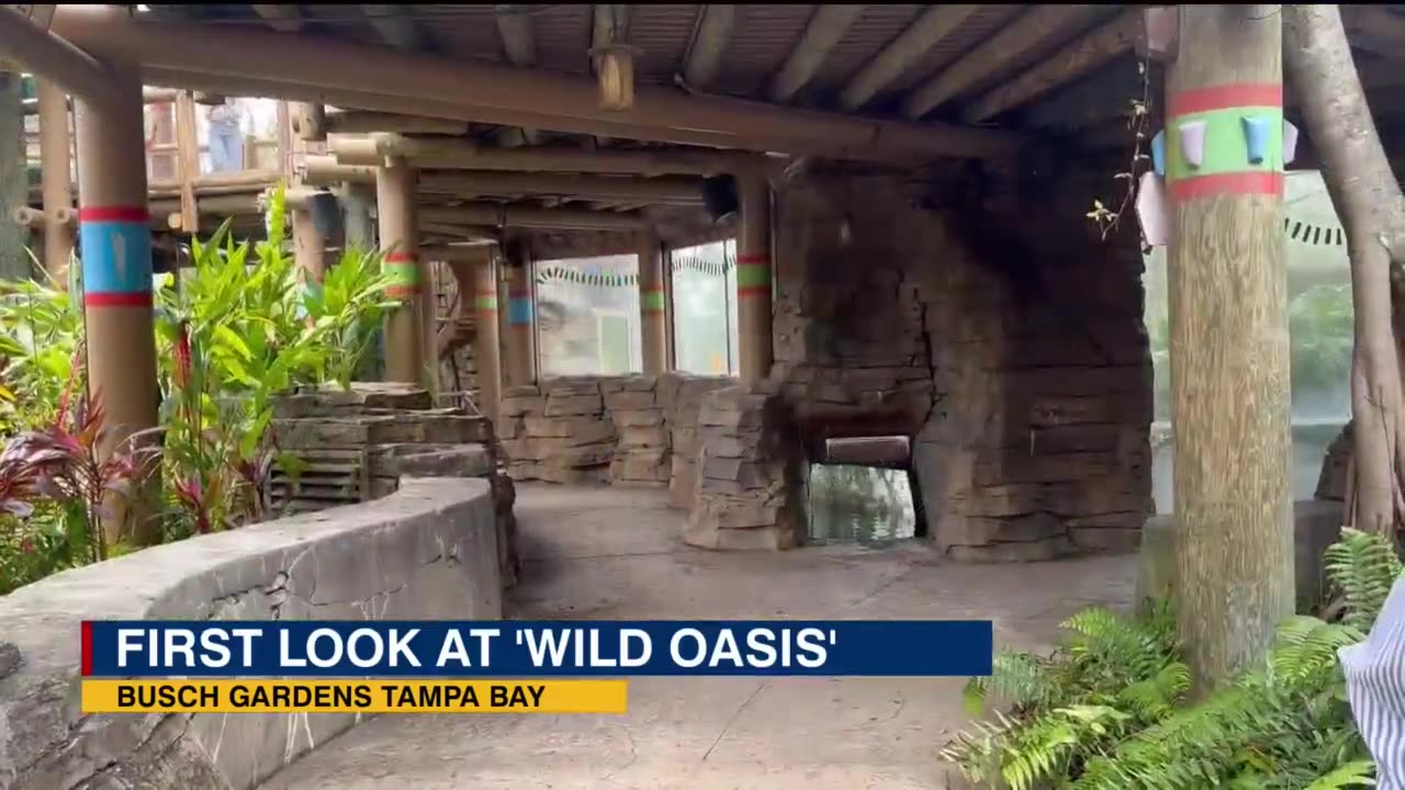 First look at 'Wild Oasis,' the newest attraction coming to Busch Gardens