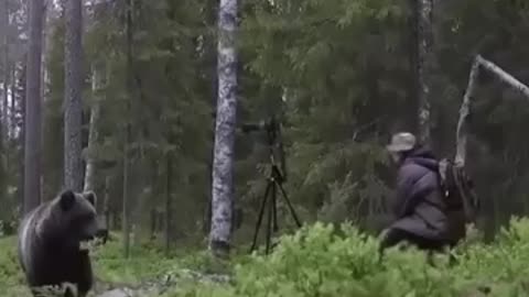 Show no fear! Here’s a guide on how to use bear spray effectively_