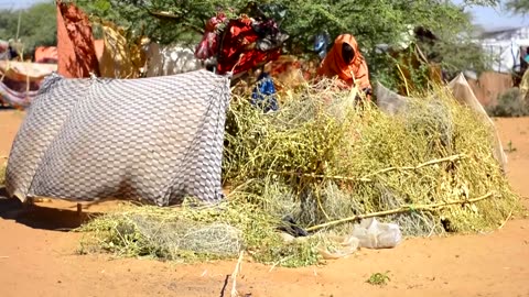 Sudan's RSF attack famine-stricken people as they consolidate territory