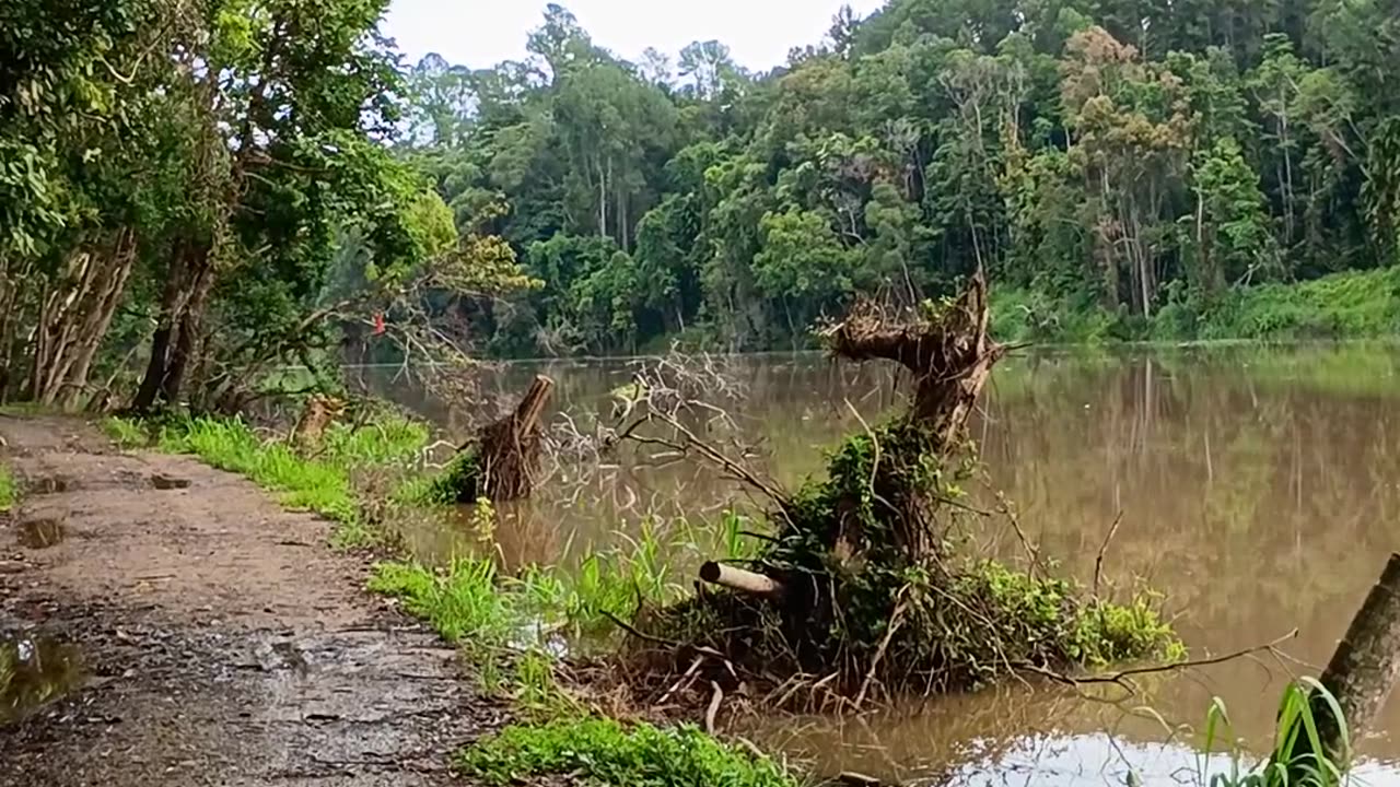 22.12.2024 The Barron River, Kuranda