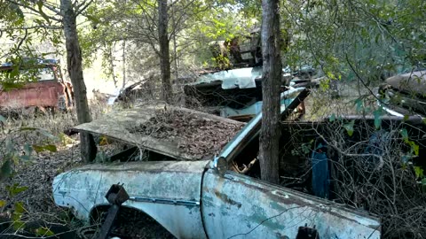 Hundreds of Classic American Cars Abandoned in the Woods of North Florida