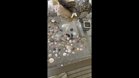 Beach Finds 2/11/25-2/12/25 | 4K