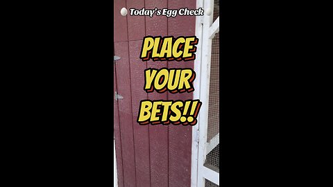 🥚 Today’s Egg Check! 🥚