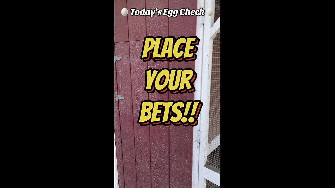 🥚 Today’s Egg Check! 🥚