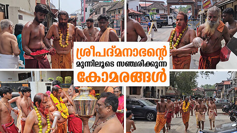ശ്രീപദ്മനാഭന്റെ മുന്നിലൂടെ സഞ്ചരിക്കുന്ന കോമരങ്ങൾ 31.01.2025 Thekke Theruvu Amman Kovil Uthsavam