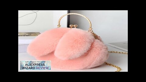 Cute Plush Rabbit Crossbody Bags for Women Korean Version Cute Purses Review