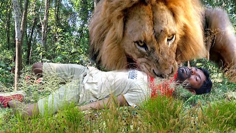 Lion Attack Man in Forest | Lion Attack Hunter | Lion Attack Stories Part-44