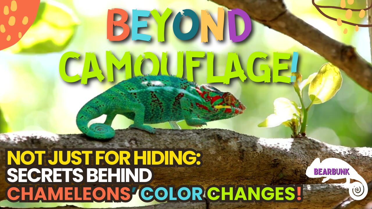 Beyond Camouflage: Chameleons' Color-Changing Secrets!