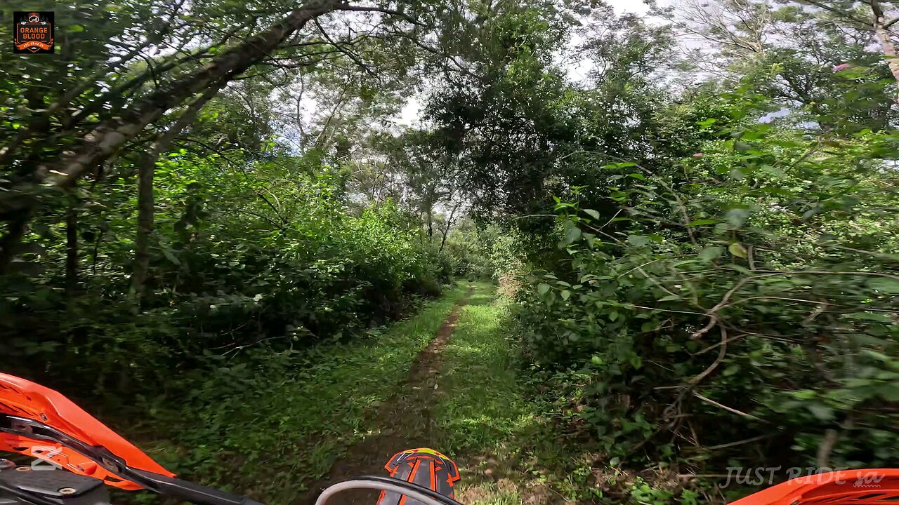 speed and single track