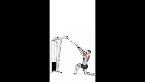 Half Kneeling High Cable Row Rope Exercise.