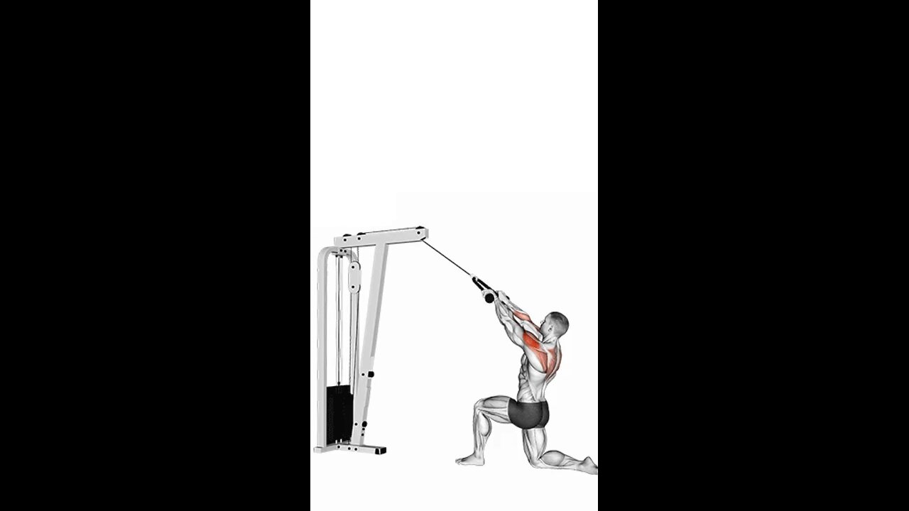 Half Kneeling High Cable Row Rope Exercise.