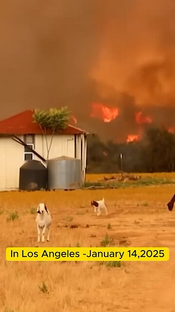 Fire update in Los Angeles today