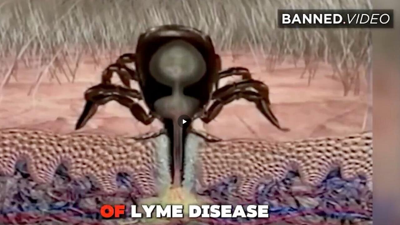 Lyme Disease & Plum Island Connection