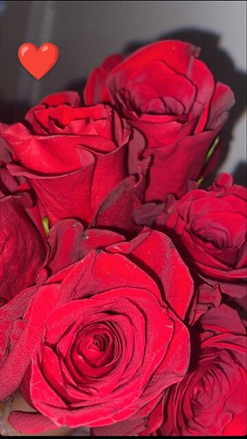 free fire 🔥 game 😎😎🔥