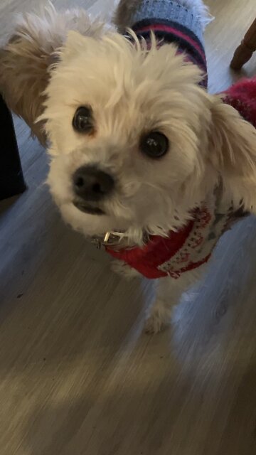 Psalm 20 may the Lord answer you in the day of trouble, defend you, strengthen you