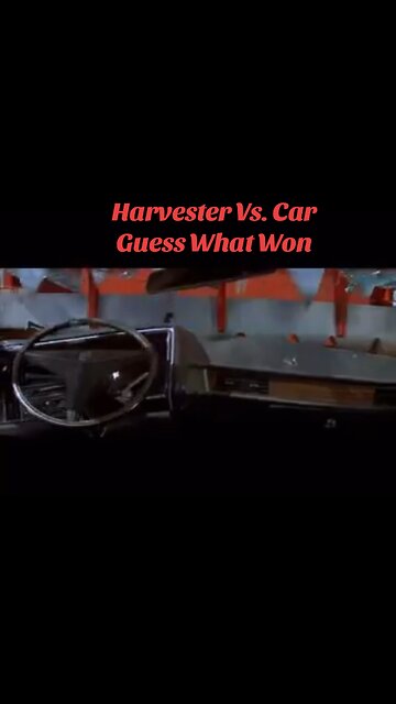 I’ve Never Seen Anything Like This Before Prime Cut 1972 Movie Clip