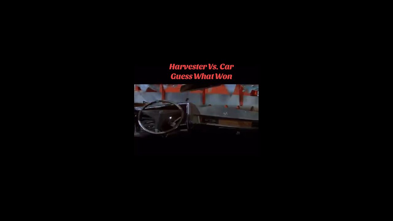 I’ve Never Seen Anything Like This Before Prime Cut 1972 Movie Clip