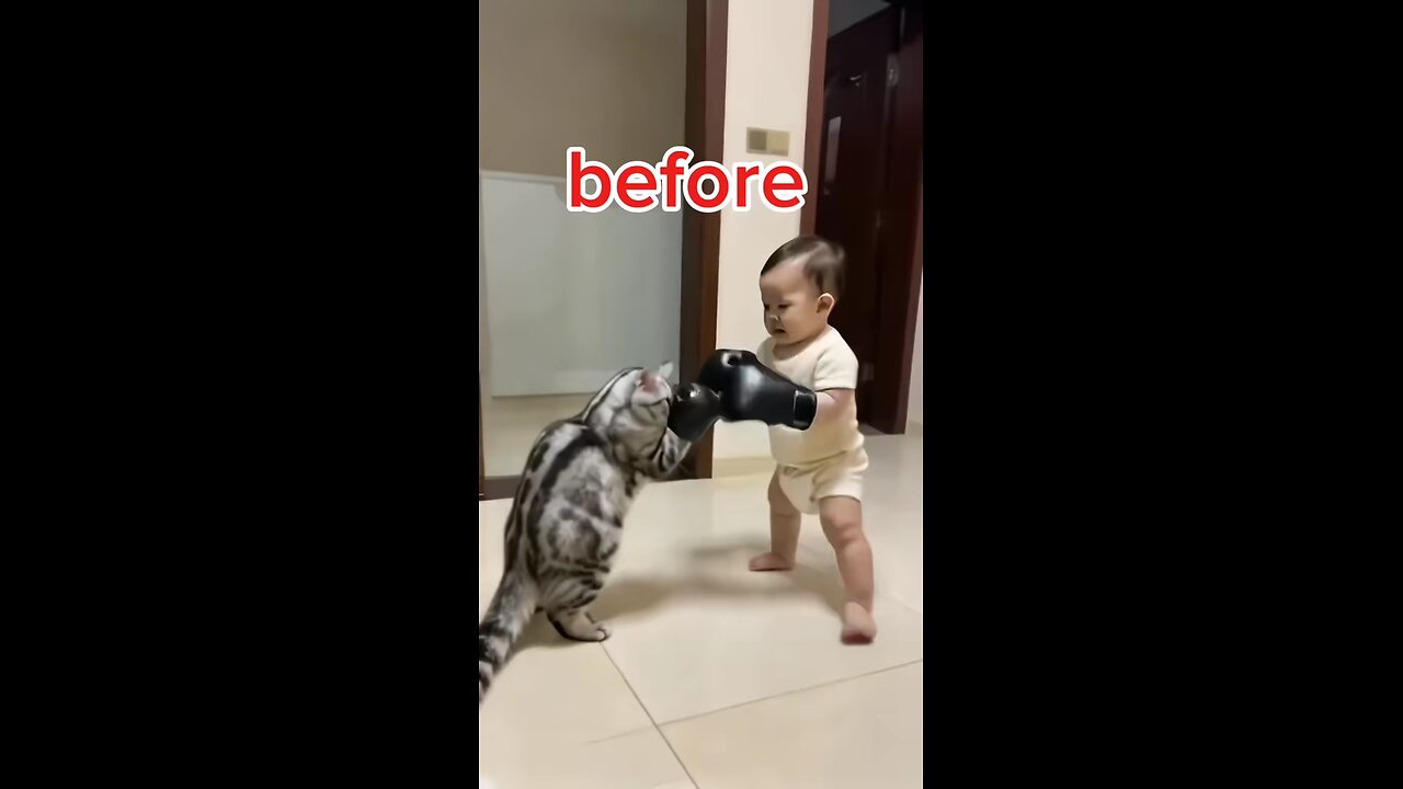 Funny Video 😂😂Cat and Baby