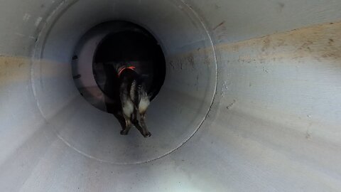 Roadie in the Pipe