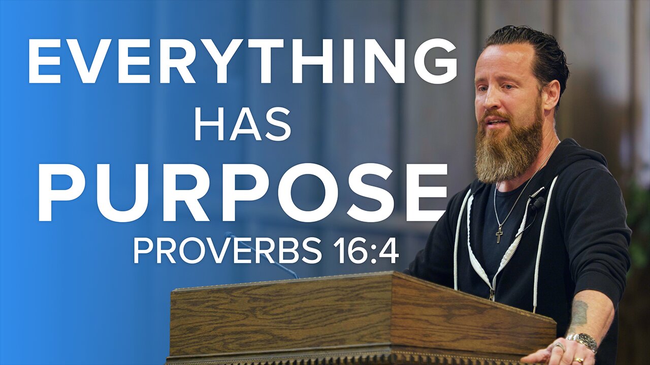 Everything Has Purpose