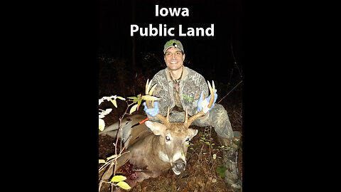 Public Land buck in Iowa