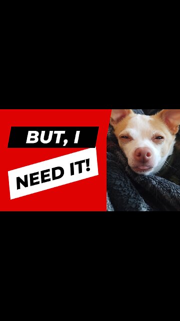 Is there such a thing as TOO many TOYS?