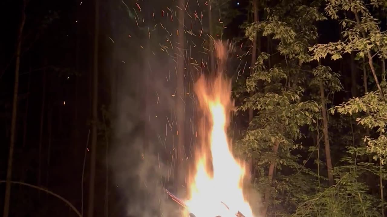 Bon fire with a bullfrog serenade 🐸