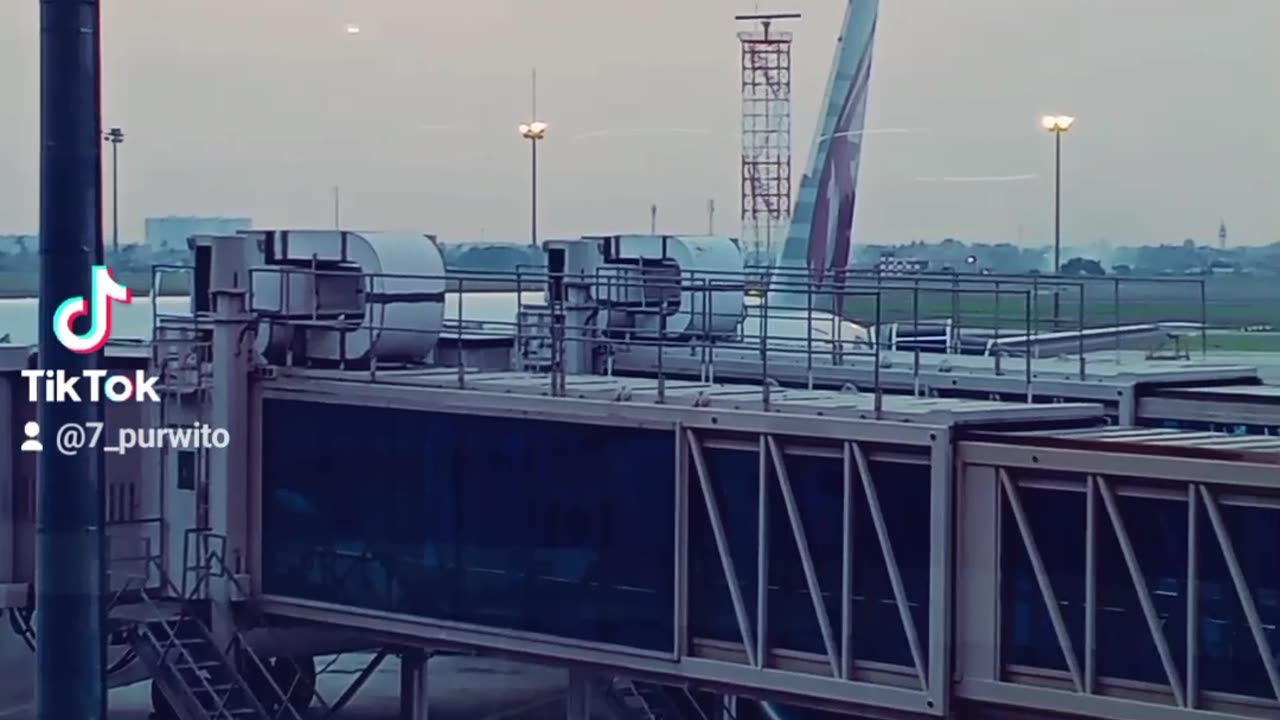 Nice Airport