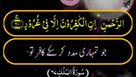 Beshak 💯♥️✨🕊️