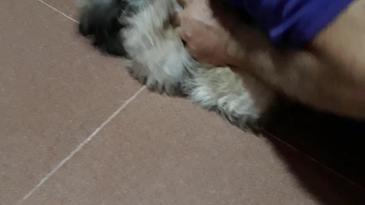 Rocky and I playing when he was just a puppy.