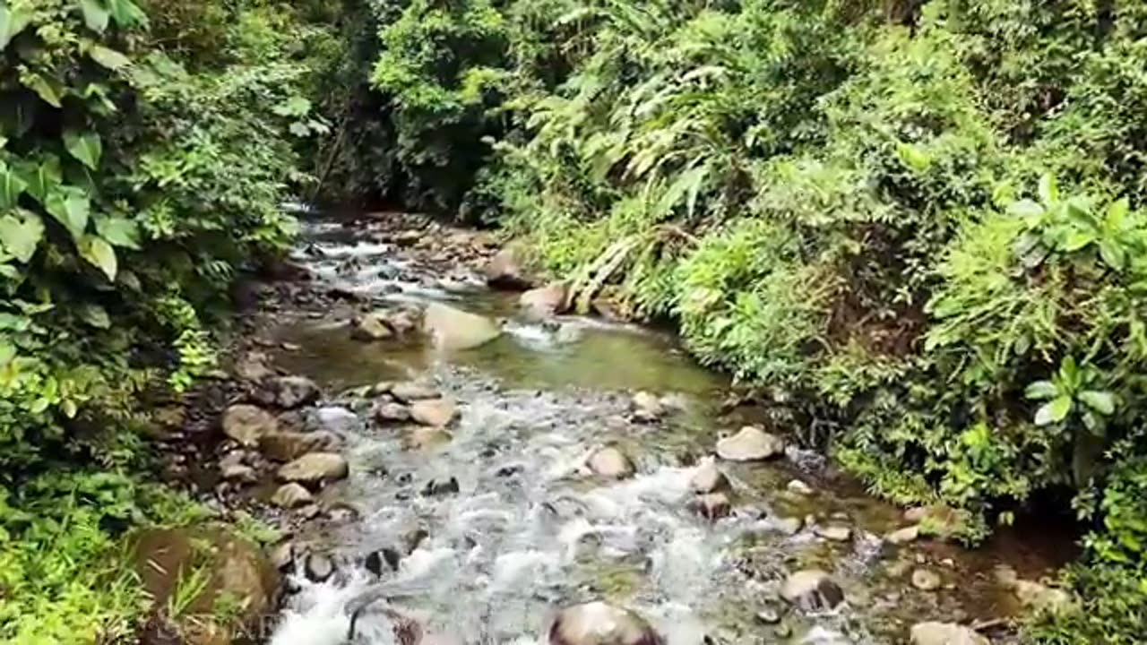 Rahsia TERBONGKAR! Apa yang Berlaku di Sebalik Tabir?