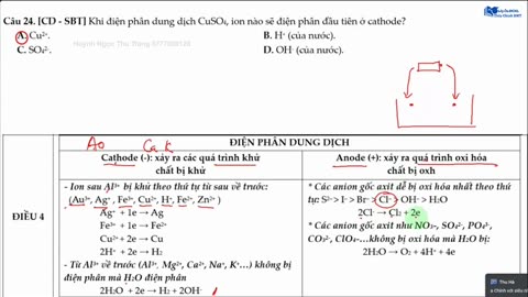 BỘ 10 NỀN HOÁ- NỀN 4