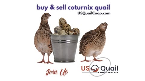 Is your Incubator running? Why Not?