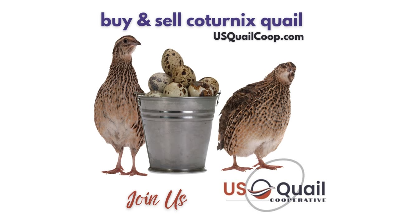 Is your Incubator running? Why Not?