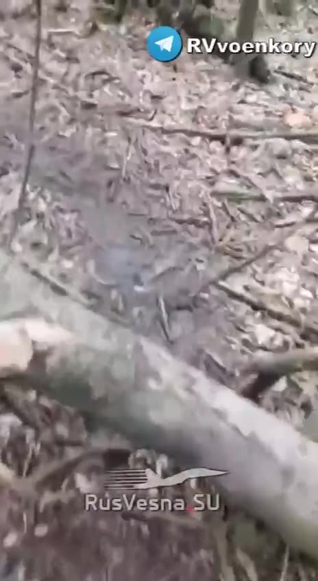 Results of a Failed Landing Near Pokrovsk