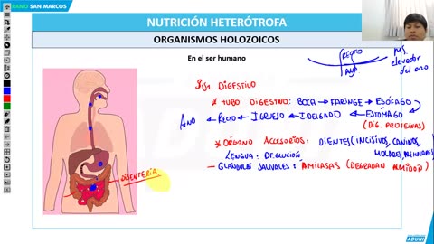 VERANO ADUNI 2024 | Semana 04 | Química | Historia S1 | Filosofía | Biología S2