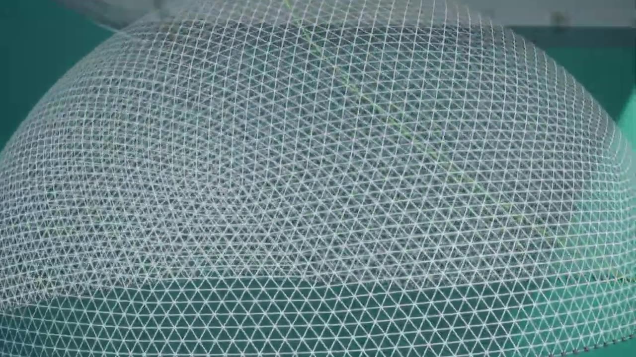 How A Cast Net Works 🤔