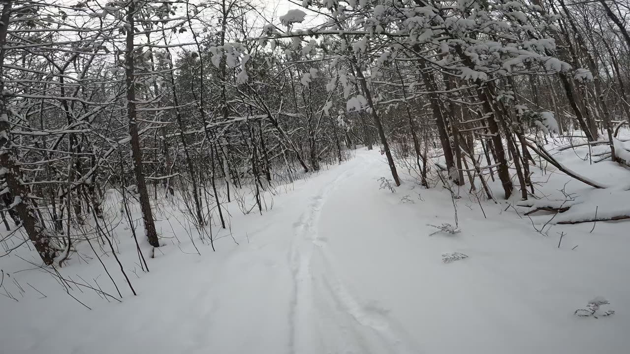 ❄️2025⛷️Winter Season ⛄Hiking Hunt Club Trails Part 1 in Ottawa 🍁 Canada ❄️⛷️⛄