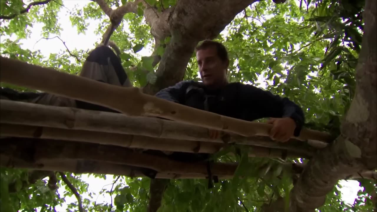 Bear Grylls Catches a Stingray While Spear Fishing _ Man vs. Wild