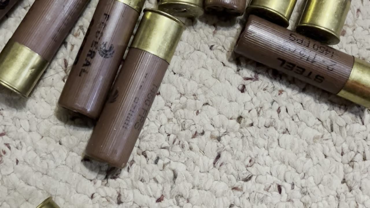 Saturday shotgun shells with SPH featuring 10 gauge. #2A #funnyvideos #tinyhands #funny