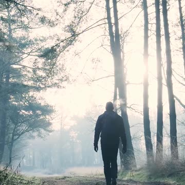 How to be Blessed - Psalm 1 #jesus #motivation #scripturereading