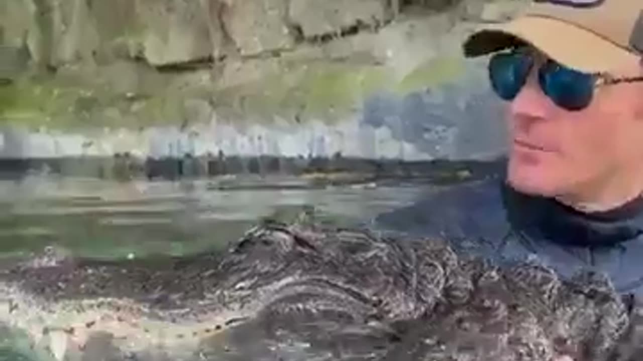 Dude explains why alligator won't kiII him